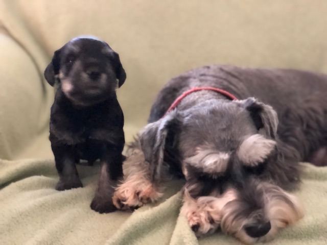 Sadie with her mom