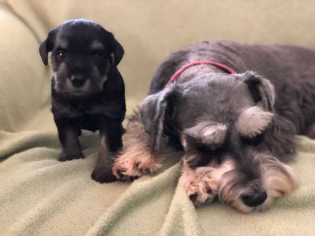 Sadie with her mom