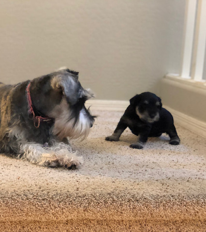 Sadie with her mom