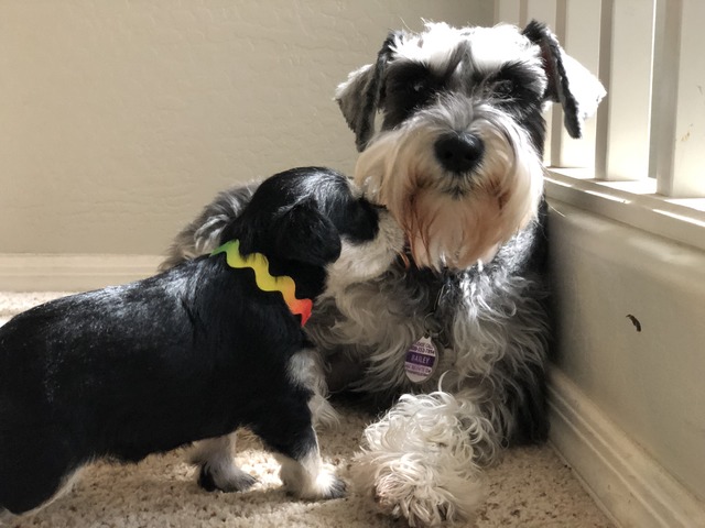 Penny with her mom