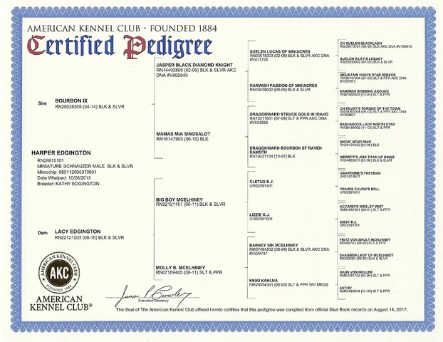 Harper's AKC Pedigree