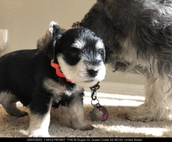 Penny with her mom