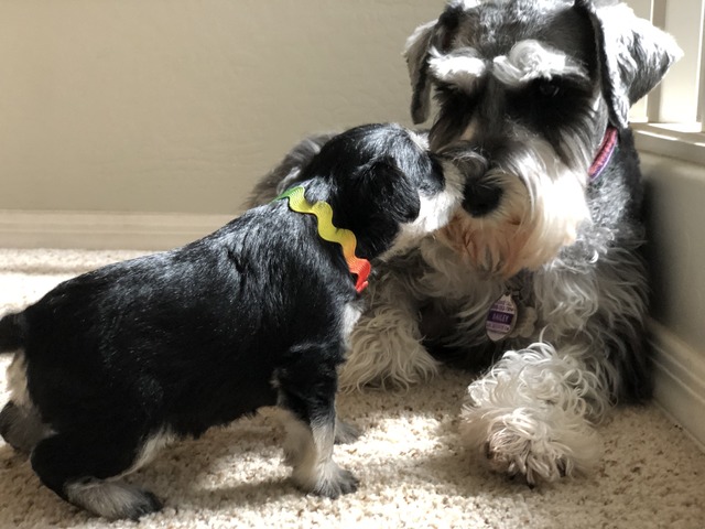 Bella with her mom