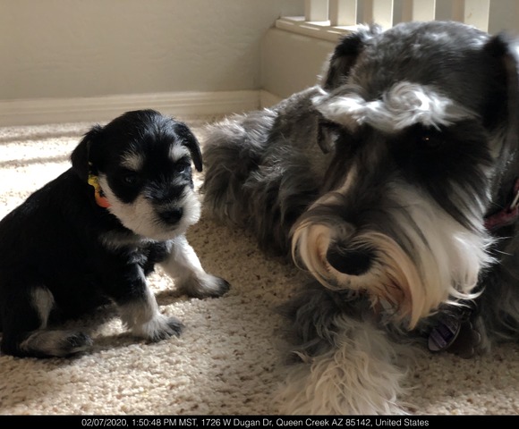 Bella with her mom