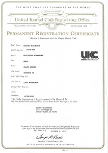 Harper's UKC Registration Certificate