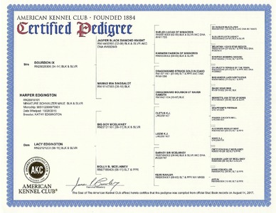Harper's AKC Pedigree