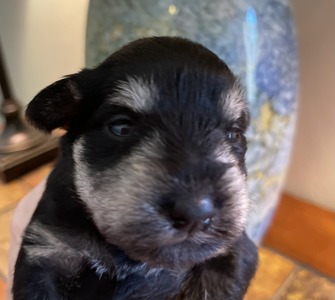 Ashley at 2-weeks
